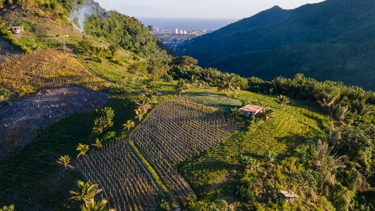 Os vinhos vulcânicos não são apenas uma tendência passageira; eles representam uma conexão profunda com a terra e uma expressão do poder transformador da natureza.